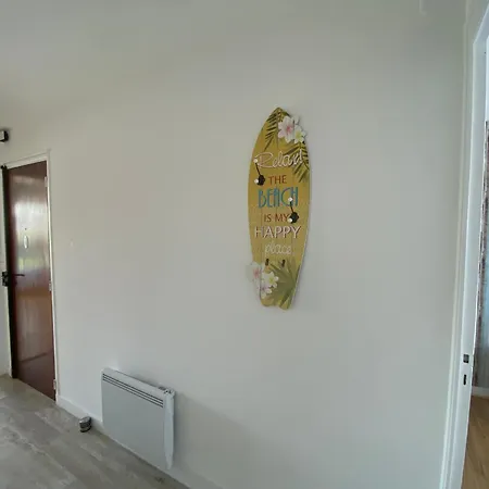 T2 Renove A Royan, Proche Plage, Parking Prive, Equipements Neufs Et Jardinet. - Fr-1-539-49 Apartment
